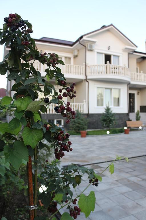 Guest House Sofia 科布列季 外观 照片