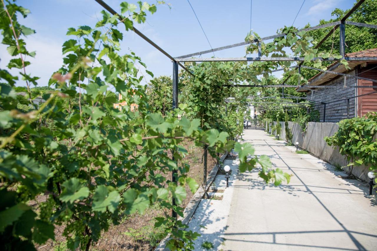Guest House Sofia 科布列季 外观 照片